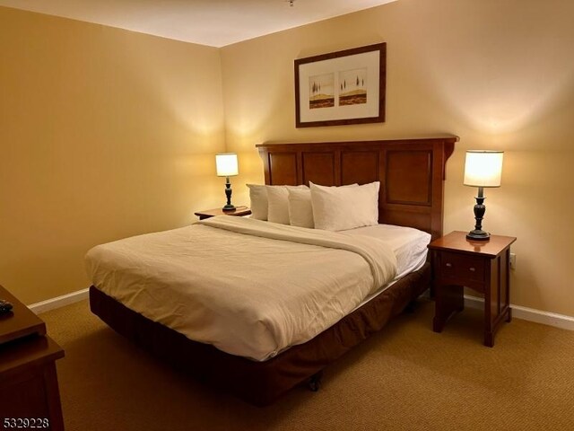200 State Rt 94 Unit 338, Vernon Twp, NJ 07462 - bedroom with light colored carpet and baseboards