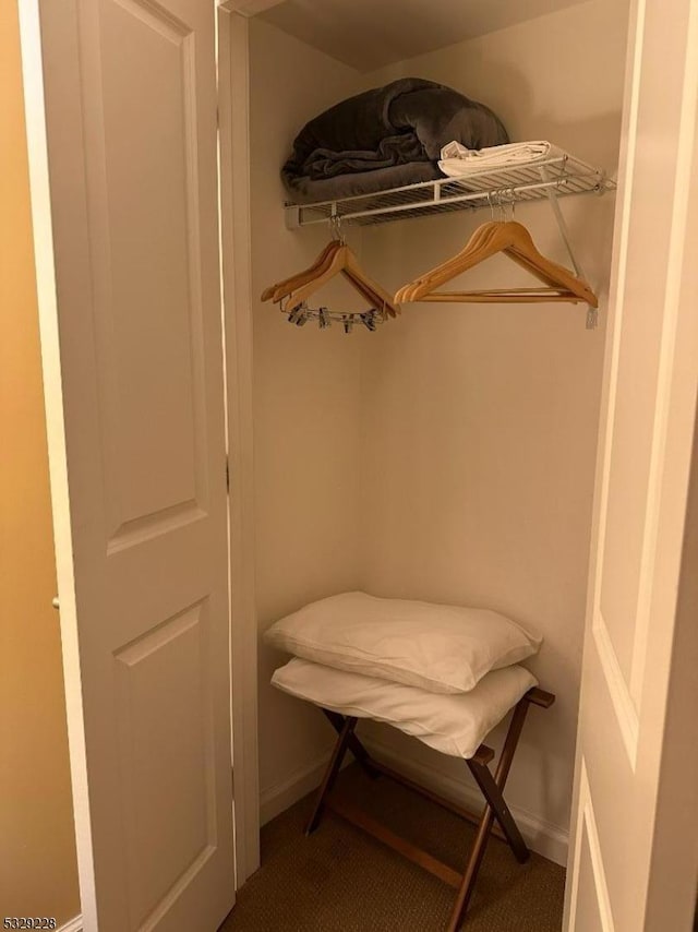200 State Rt 94 Unit 338, Vernon Twp, NJ 07462 - view of closet