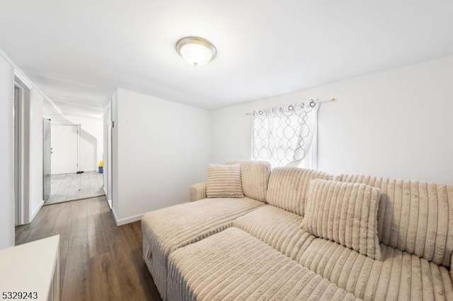 living room featuring dark hardwood / wood-style flooring