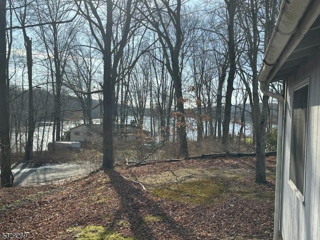 view of yard with a water view