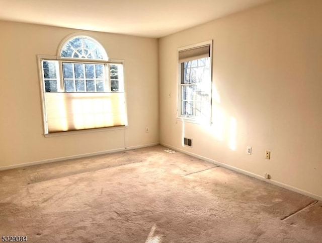 unfurnished room featuring light colored carpet and a healthy amount of sunlight