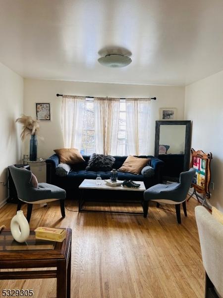 living room featuring light hardwood / wood-style floors