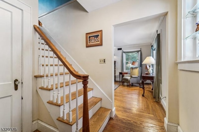 stairs featuring wood-type flooring