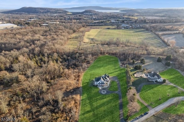 bird's eye view with a mountain view