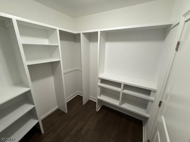 spacious closet with dark hardwood / wood-style flooring