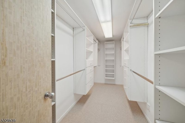 walk in closet featuring light colored carpet