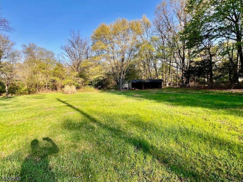 37 Dahmer Rd, Franklin Twp, NJ 08873 - view of yard