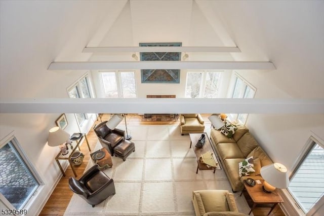 interior space featuring wood-type flooring, a towering ceiling, and plenty of natural light