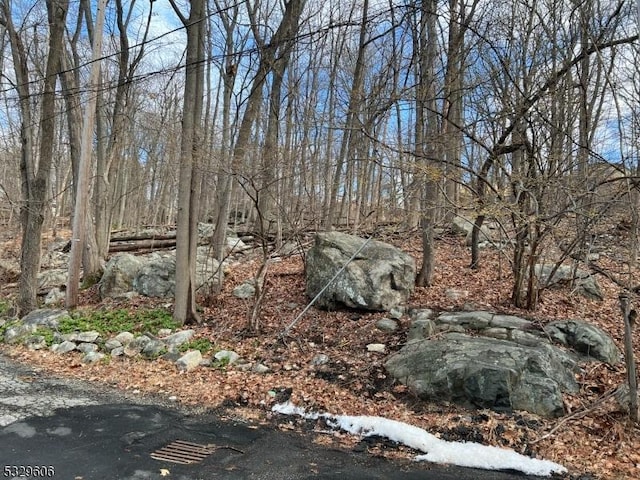 Listing photo 3 for 00 Stevens Trl, Hopatcong Boro NJ 07843