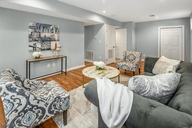 living room featuring wood-type flooring