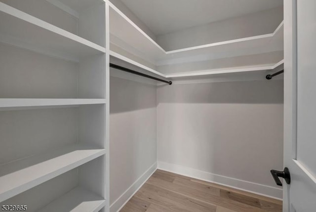 walk in closet with light wood-style floors