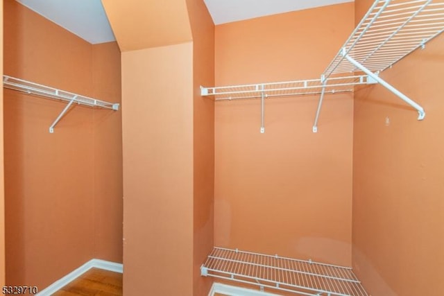 spacious closet featuring wood-type flooring