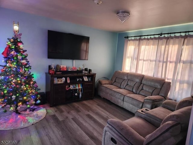 living room featuring hardwood / wood-style flooring