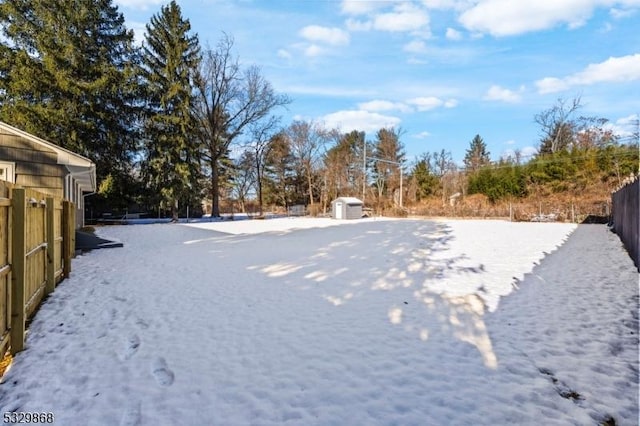 view of yard with a storage shed