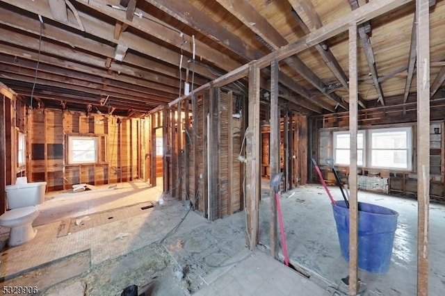 miscellaneous room with plenty of natural light