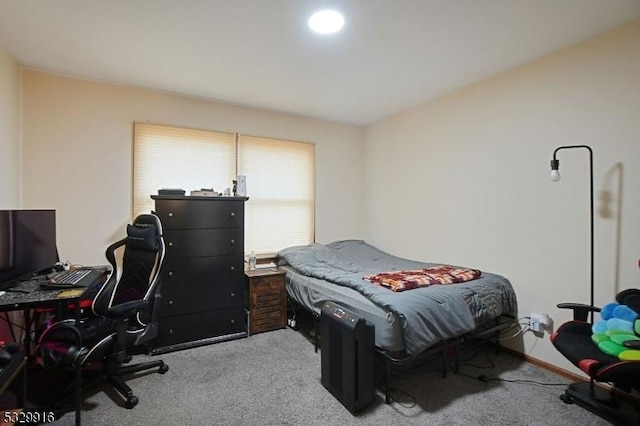 view of carpeted bedroom