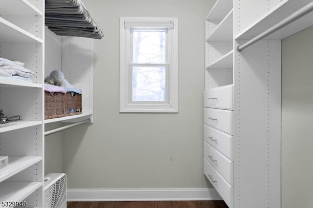 spacious closet with dark wood-type flooring