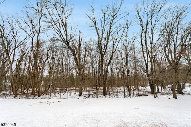 view of yard covered in snow