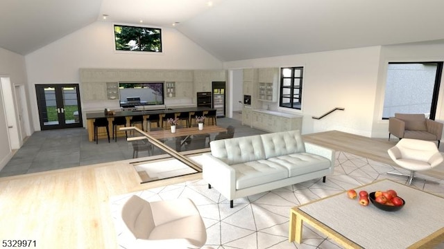 136-2 Mount Harmony Rd, Bernardsville Boro, NJ 07924 - living room featuring a healthy amount of sunlight, french doors, light wood-style floors, and high vaulted ceiling