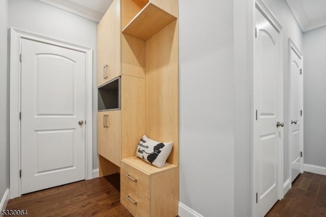 mudroom with ornamental molding, dark wood-type flooring, and baseboards