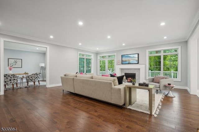 living area featuring ornamental molding, dark wood-type flooring, and a healthy amount of sunlight