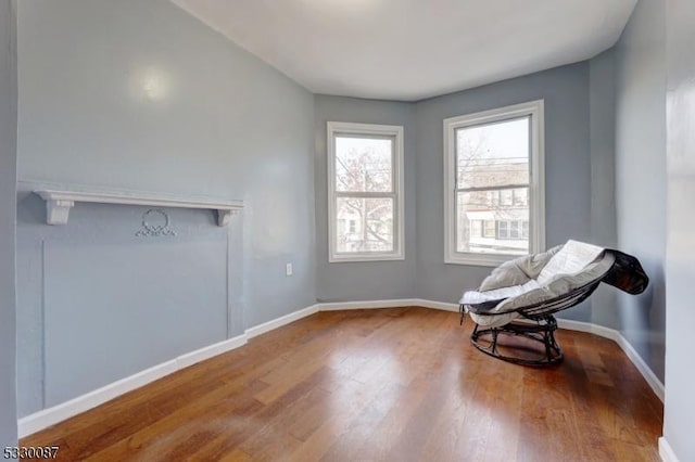 living area featuring wood-type flooring