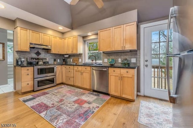 kitchen featuring light hardwood / wood-style flooring, light brown cabinetry, plenty of natural light, decorative backsplash, and stainless steel appliances