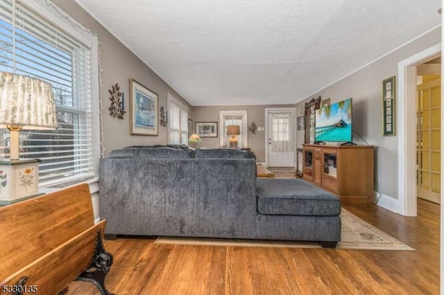 living room featuring hardwood / wood-style flooring