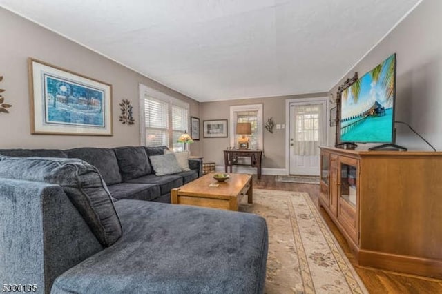 living room with hardwood / wood-style floors