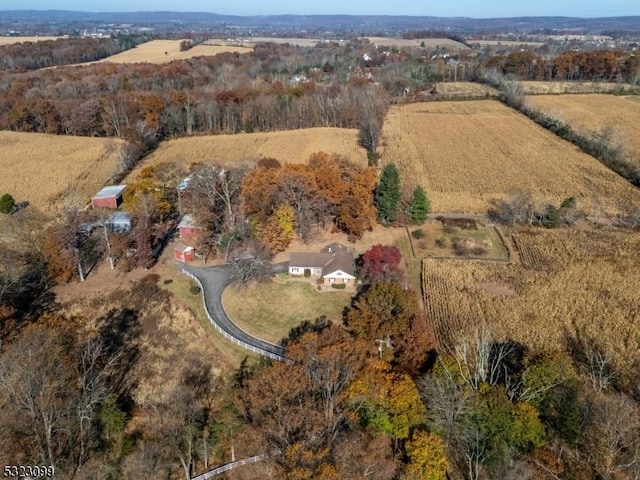 bird's eye view with a rural view