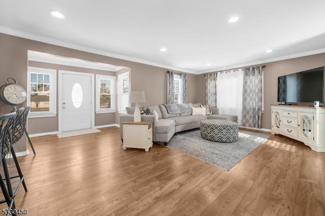 living room featuring crown molding and wood-type flooring