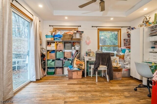 storage area with ceiling fan