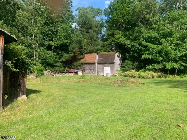 view of yard featuring a storage unit