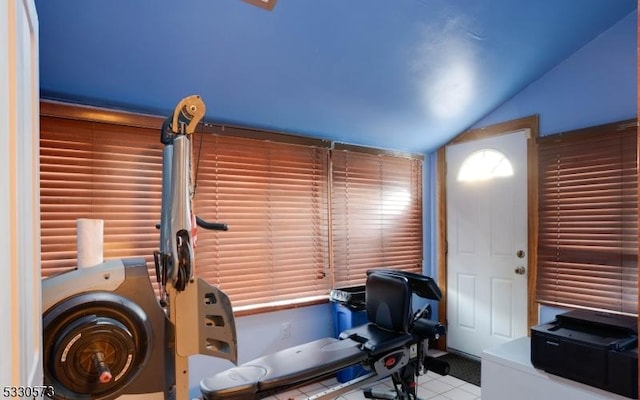 workout room featuring lofted ceiling