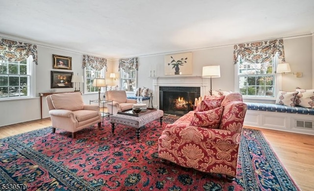 living room featuring light hardwood / wood-style floors