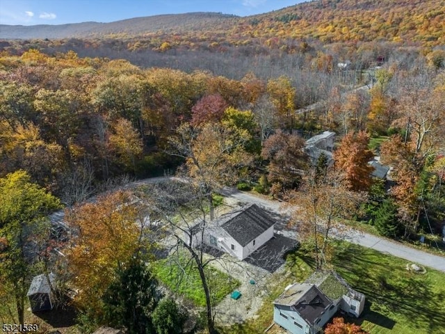 birds eye view of property with a mountain view