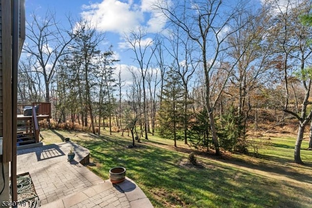 view of yard with a patio area