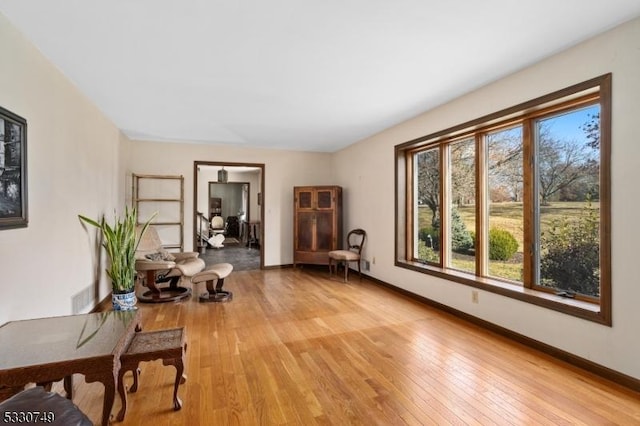 living area featuring light hardwood / wood-style flooring