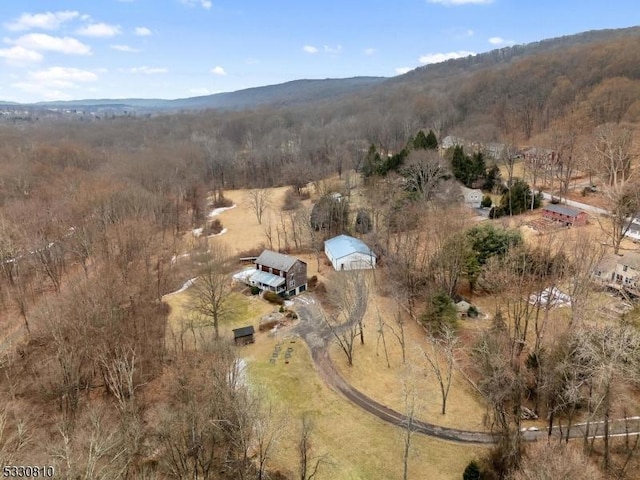 aerial view featuring a mountain view and a rural view