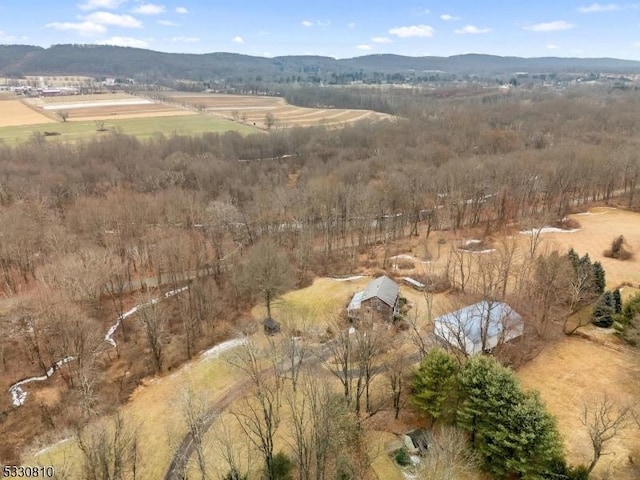 bird's eye view with a mountain view and a rural view