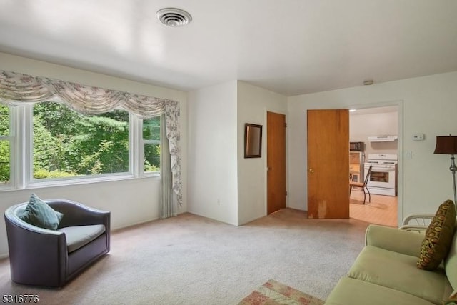 living room featuring light carpet