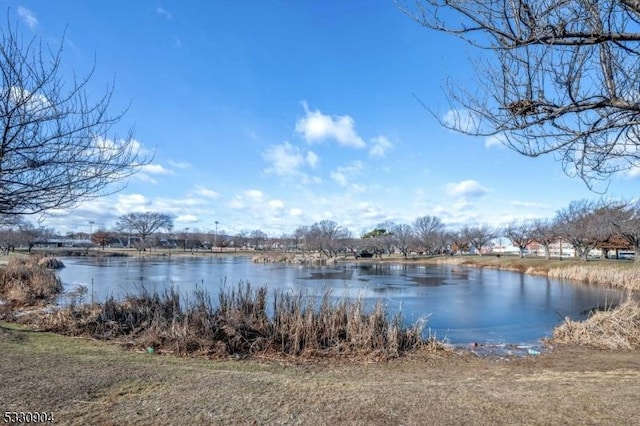 property view of water