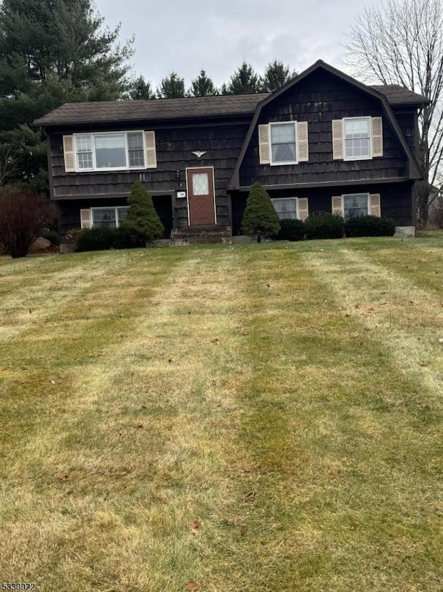 raised ranch featuring a front yard