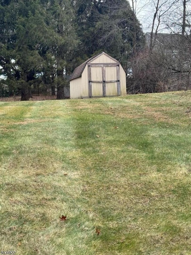 view of yard featuring a shed