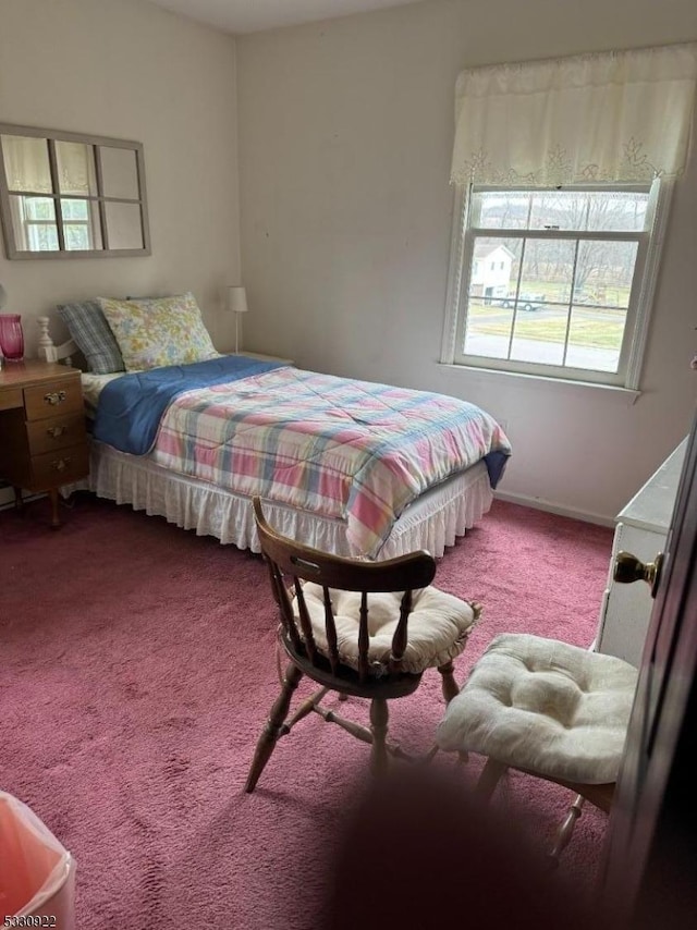 bedroom with carpet flooring