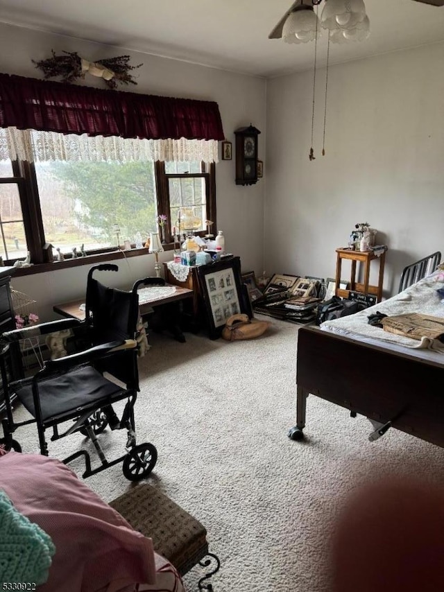 living room with carpet flooring and a wealth of natural light