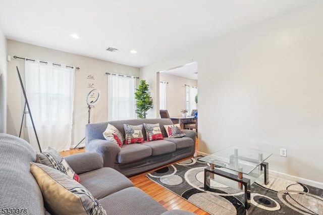 living room featuring hardwood / wood-style flooring