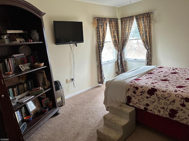 bedroom with carpet floors