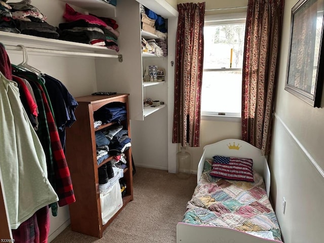 spacious closet with light carpet