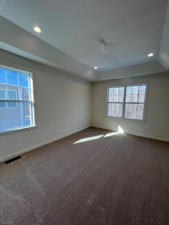 unfurnished room with lofted ceiling and carpet floors